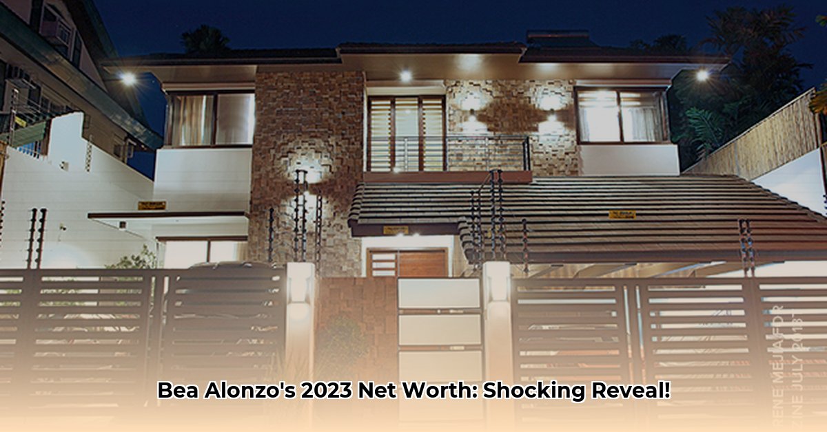 bea alonzo net worth 2023